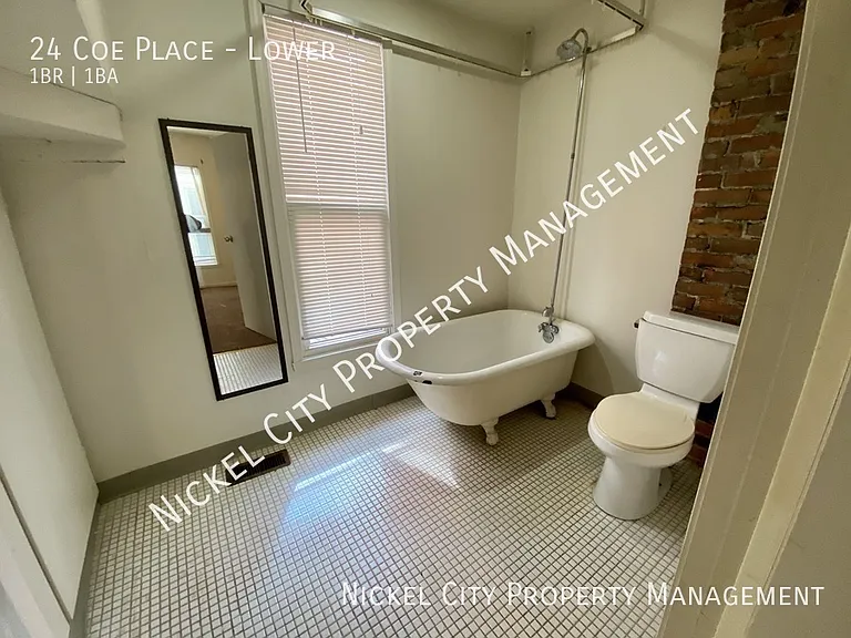 24 Coe Pl #LOWER — Photo 13