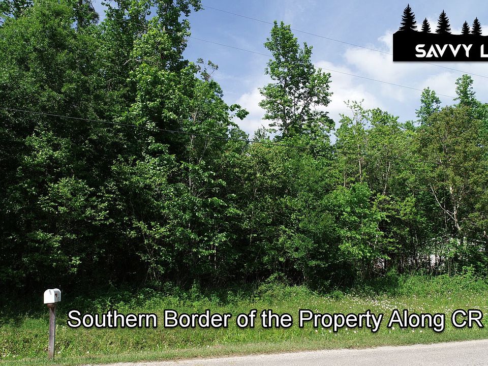Southern Border of Property