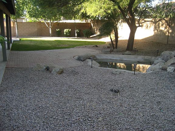 Peaceful. well maintained backyard