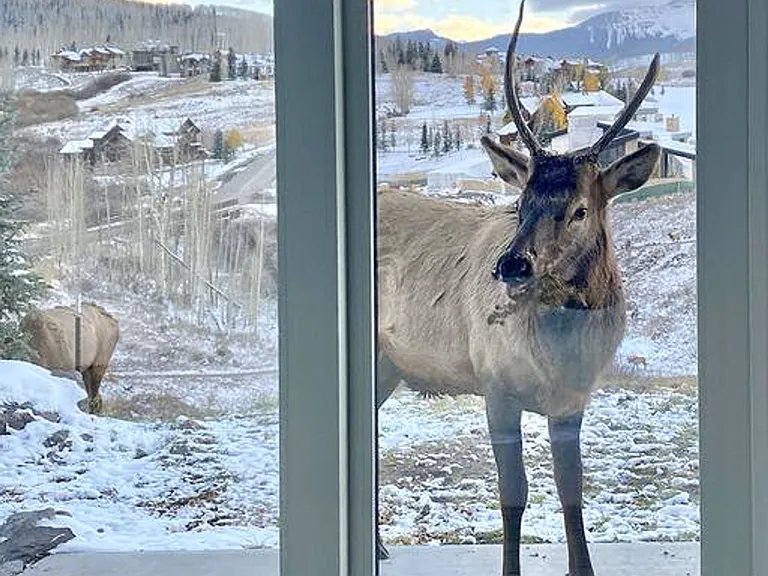 Window View