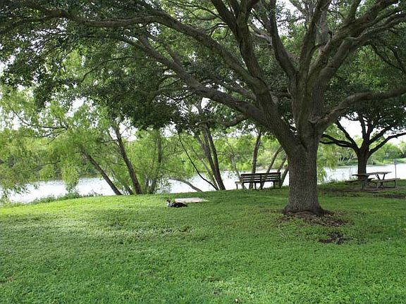 Park like natural pond