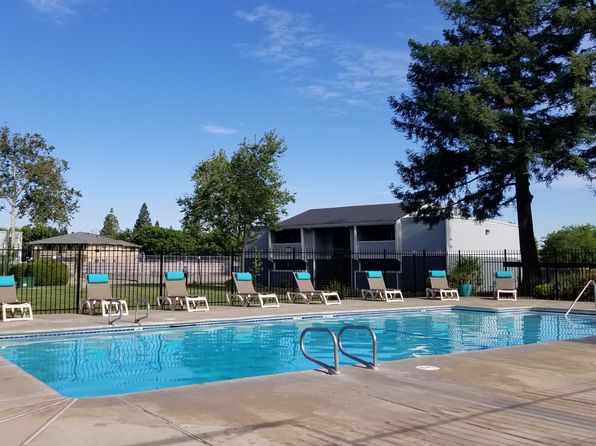 1550 Springfield Dr APT 31