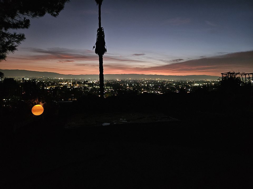 The view