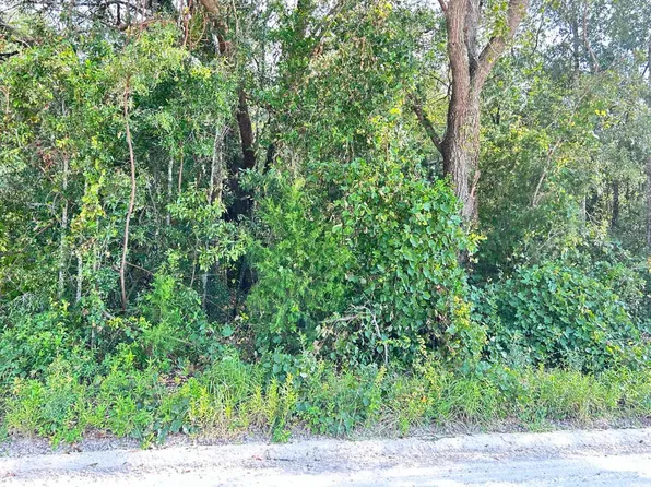 96th St, Live Oak, FL 32060