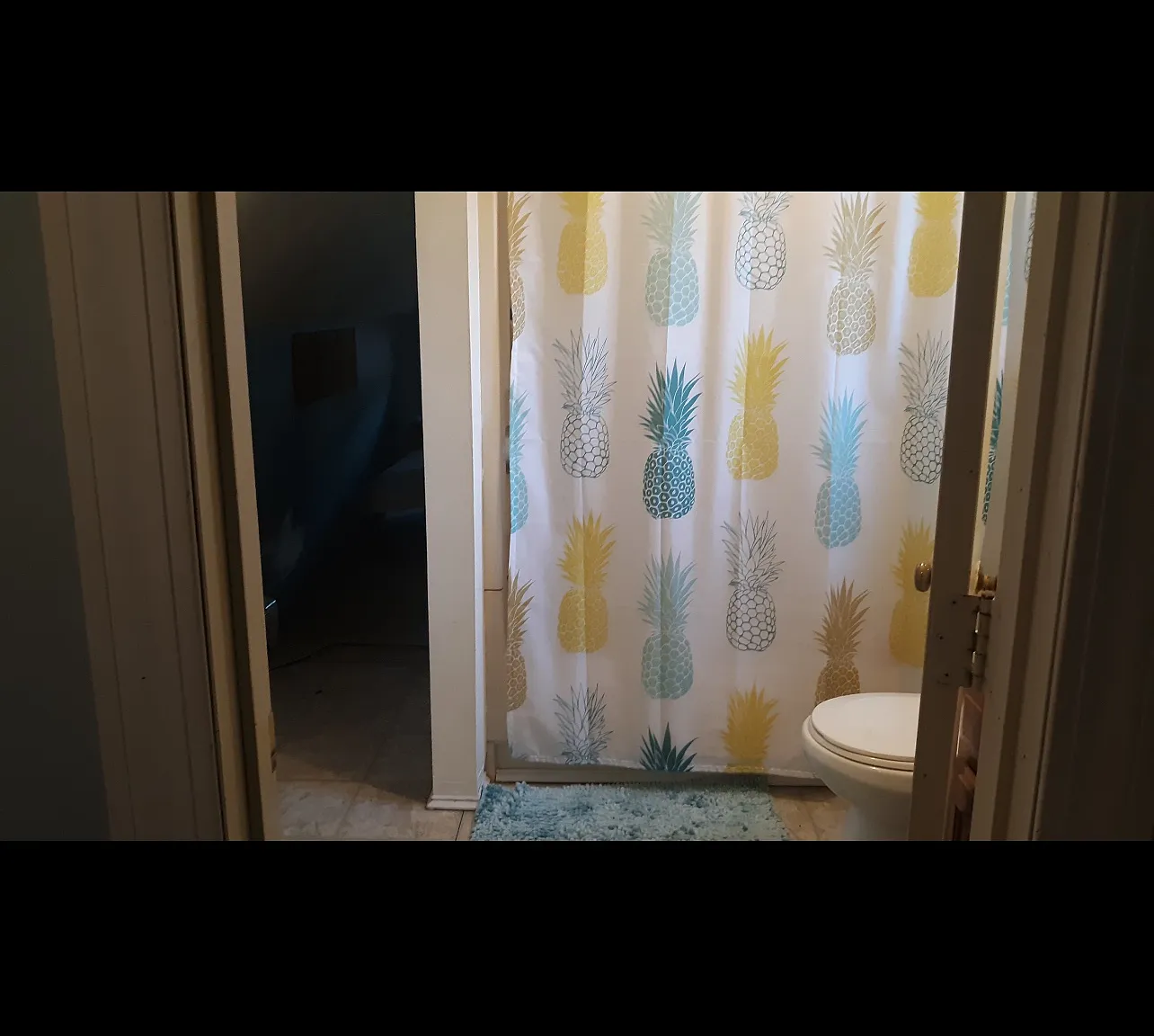 1 bed, 800 sqft, $1,500 — Photo 3