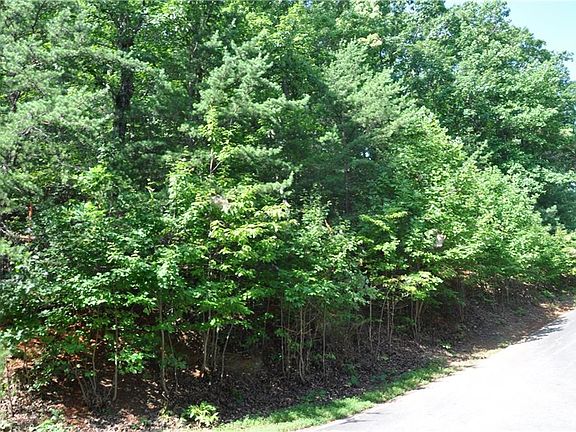 3rd image of 8261 Cox Mountain Dr Lot 8261