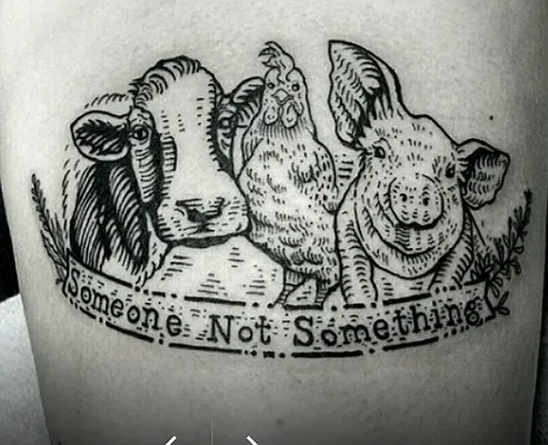 Rented by SCOUTBK.COM | media 35