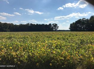 0 Artis Rd NE, Pikeville, NC 27863