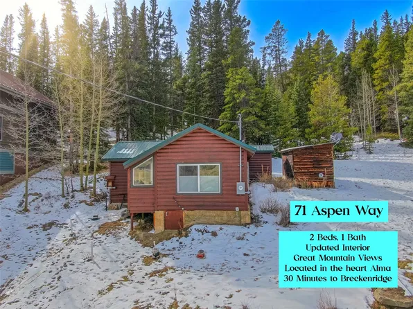 71 Aspen Way, Alma, CO 80420