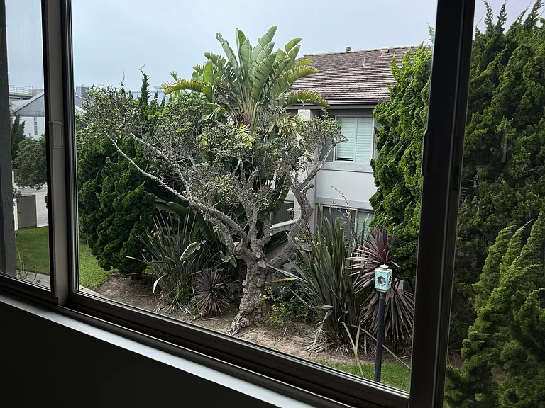 Master BR Window View