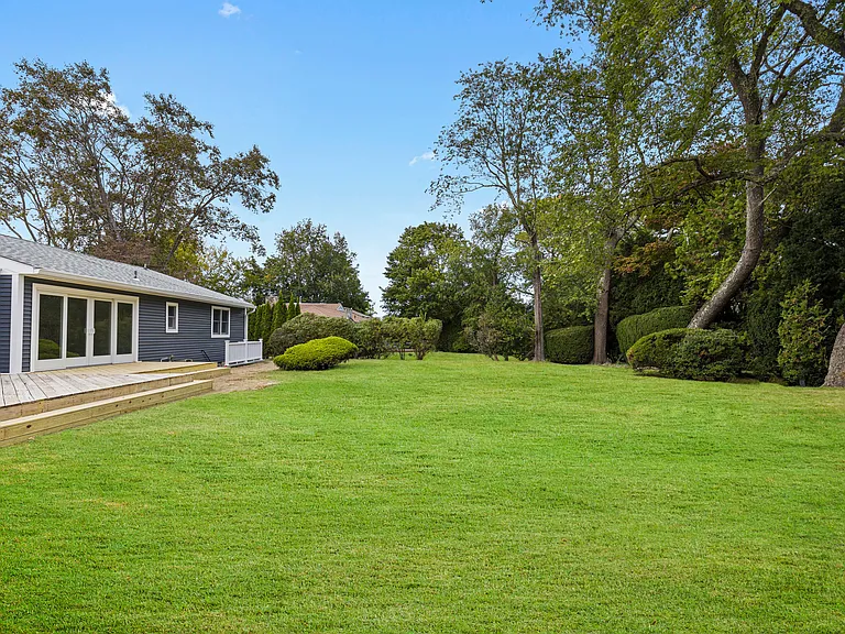 large level backyard