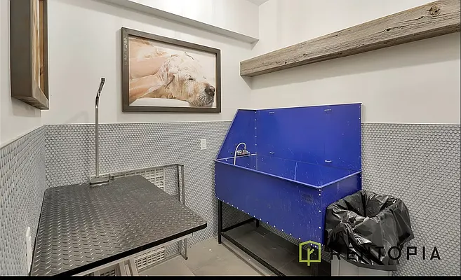 Rented by Rentopia | media 52