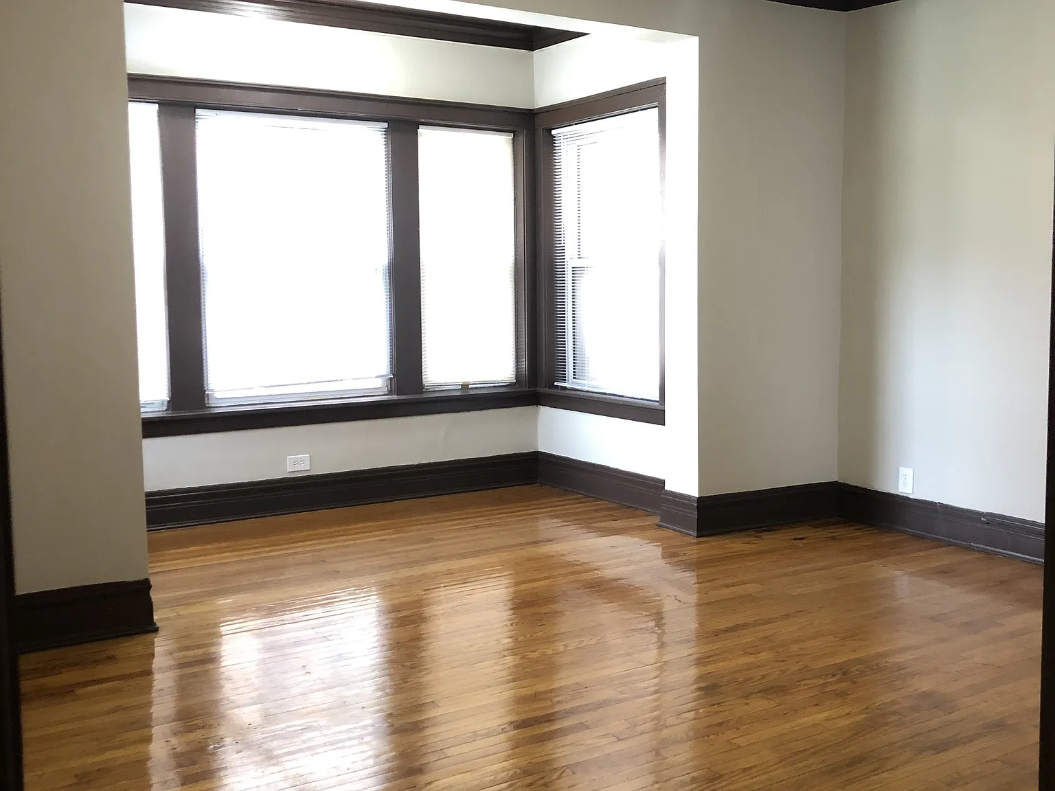 3536-46 W Jackson Blvd - 3538- Unit 1 — Photo 3
