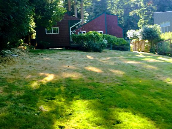 View from the back yard.