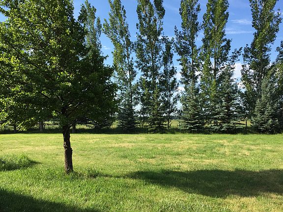 Lawn with trees