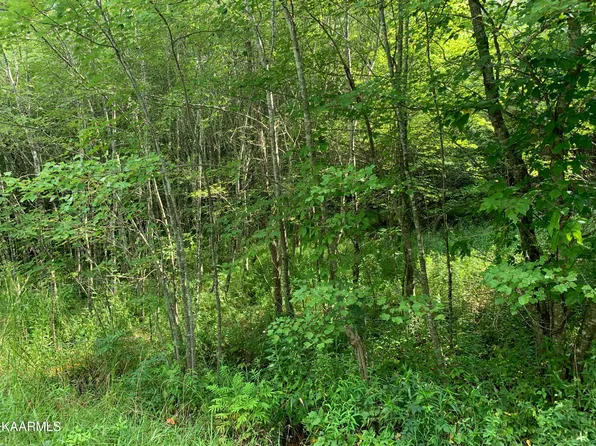 Garrison Ln, Grandview, TN 37337