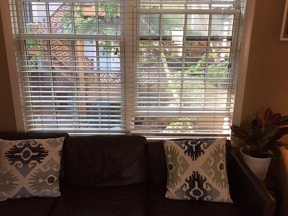 Window over patio