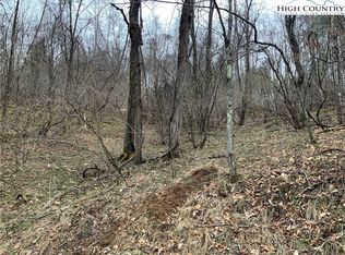 LOT 67 Hidden Mountain Ln, Crumpler, NC 28617