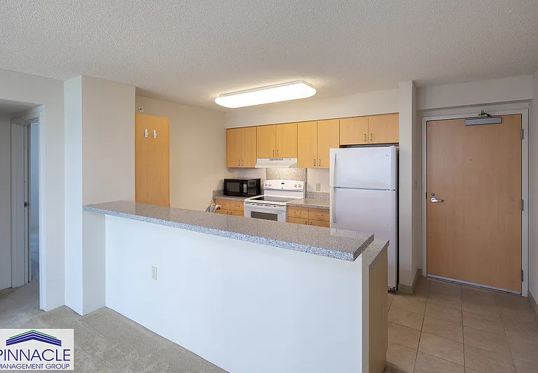 1315 Kalakaua Ave #1911 — Photo 4