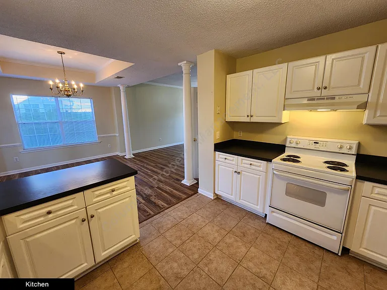 1003 Sweet Thorne Ct — Photo 9