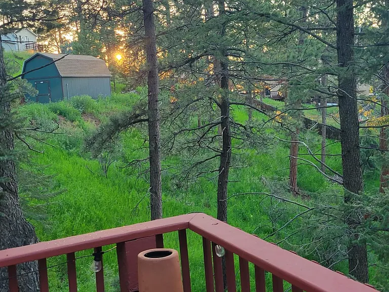 Backyard views (on 1.37 acres of woods)