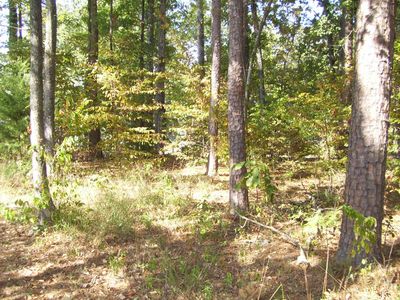 Oak Ridge Dr, Ashdown, AR, 71822