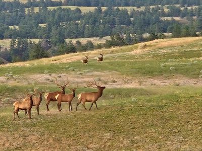 156 Three Mile Rd, Winifred, MT, 59451