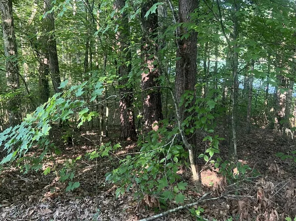 12308 Yarnell Rd, Knoxville, TN 37932