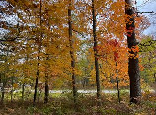 6159 S Forman Rd, Baldwin, MI 49304