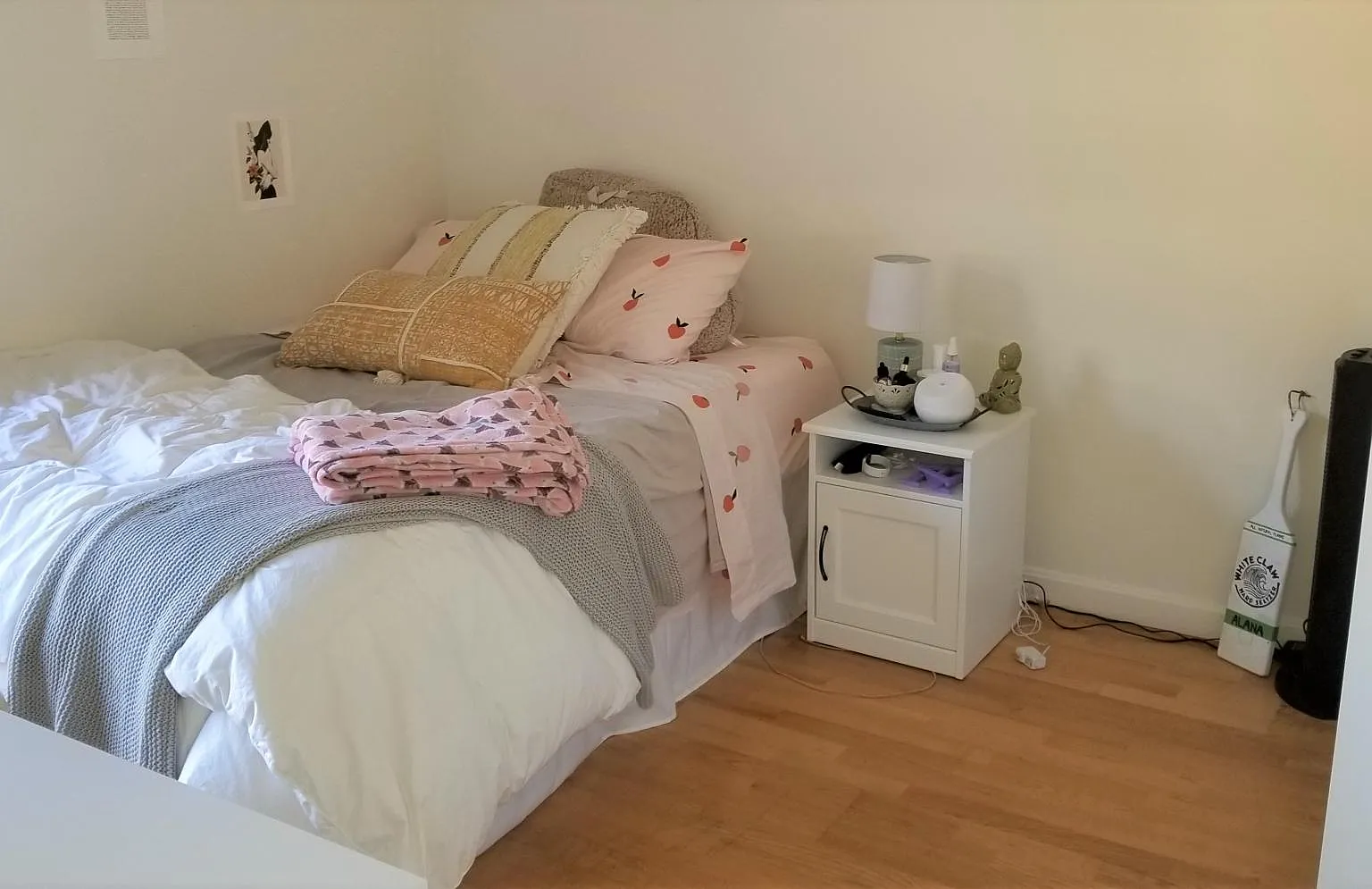 3 bed, 915 sqft, $3,000 — Photo 3