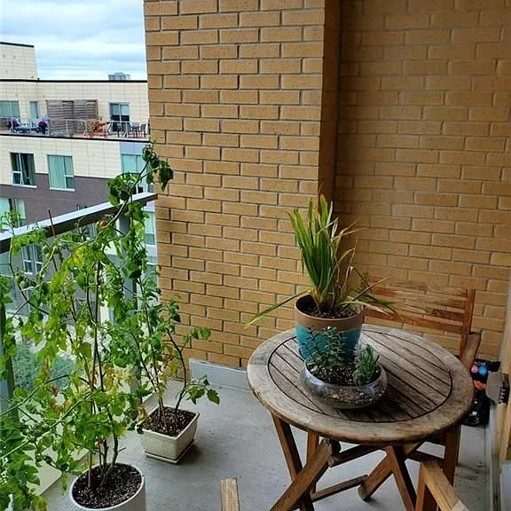 300 Lett St #510 — Photo 14