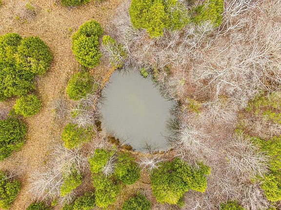 5th image of 8066 Plano Rd