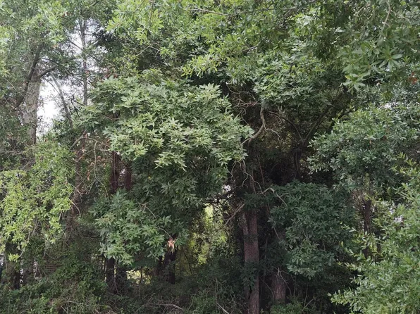 106 Taylor Ln Lot 11, Hubert, NC 28539