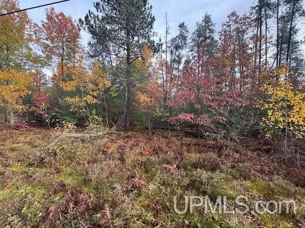 138A E Johnson Lake Rd, Gwinn, MI 49841