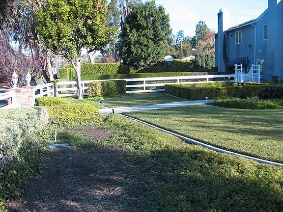 West side rose garden