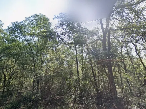 9333 N Kirkland Ter, Citrus Springs, FL 34434