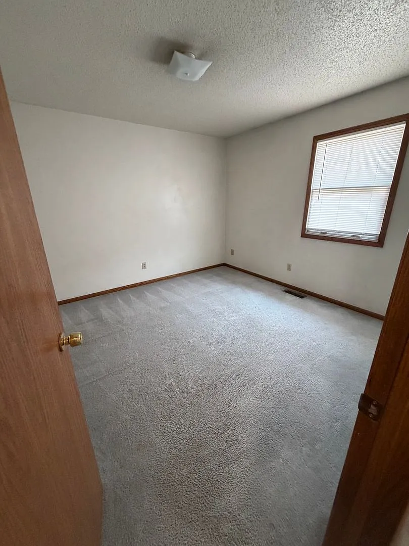 Walnut — Photo 4