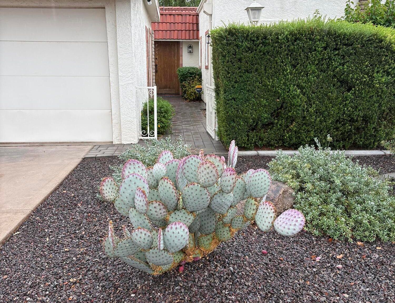 5619 E CENTURY Lane — Orange Tree Golf Club