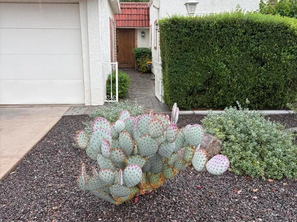 5619 E CENTURY Lane, Scottsdale, AZ 85254