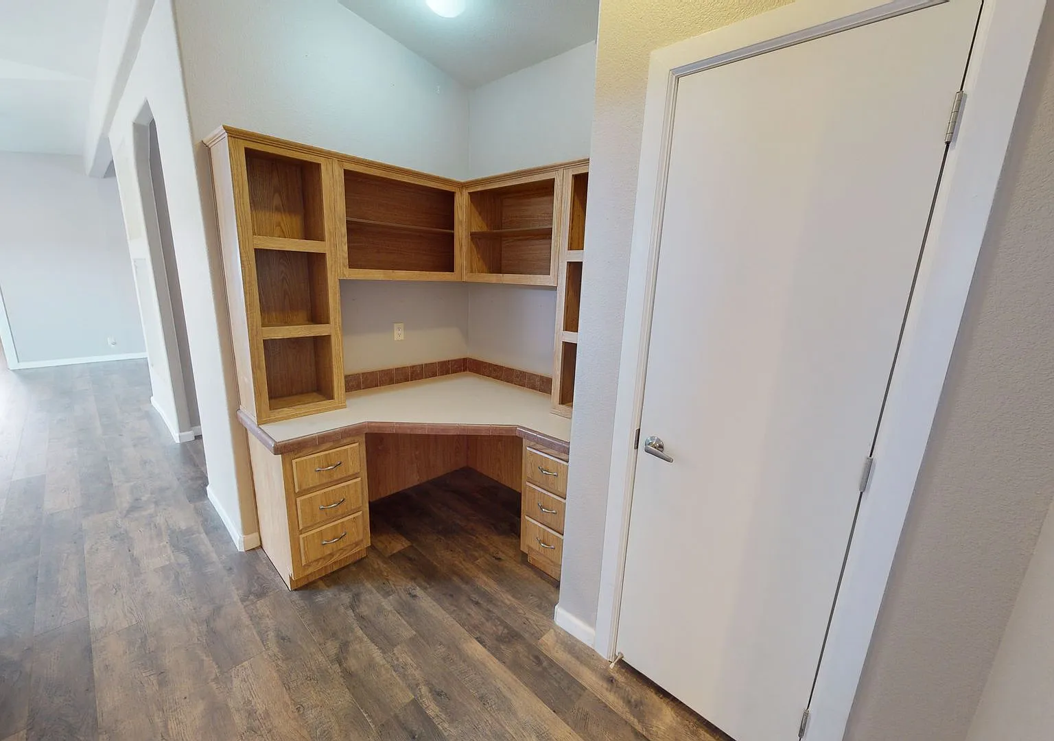 2505 Silver Dollar Loop — Photo 4