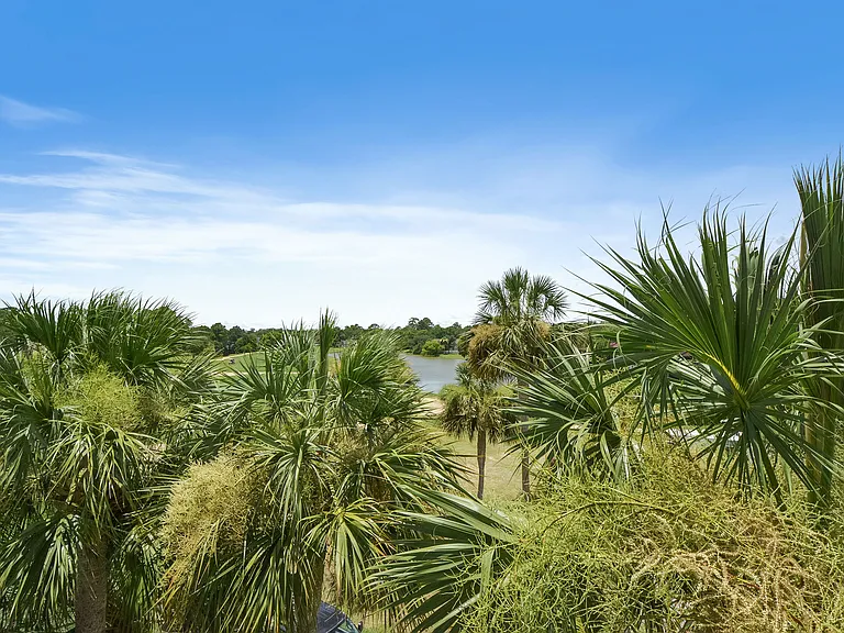 297 Moss Oak Cir — Photo 4