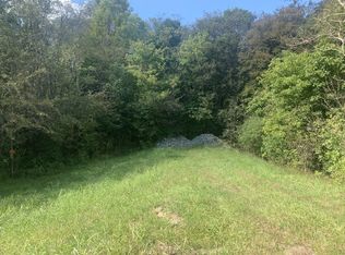 0 Pickard Hollow Rd, Mount Pleasant, TN 38474