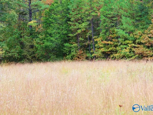 3753 S Woodtrail Rd SW, Decatur, AL 35603