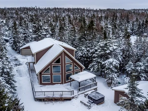 17 Cupids Big Pond Road, Makinsons, NL A0A2X0