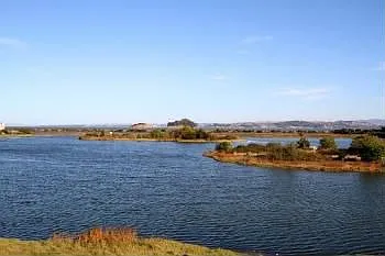 19 Dowitcher Way photo 1