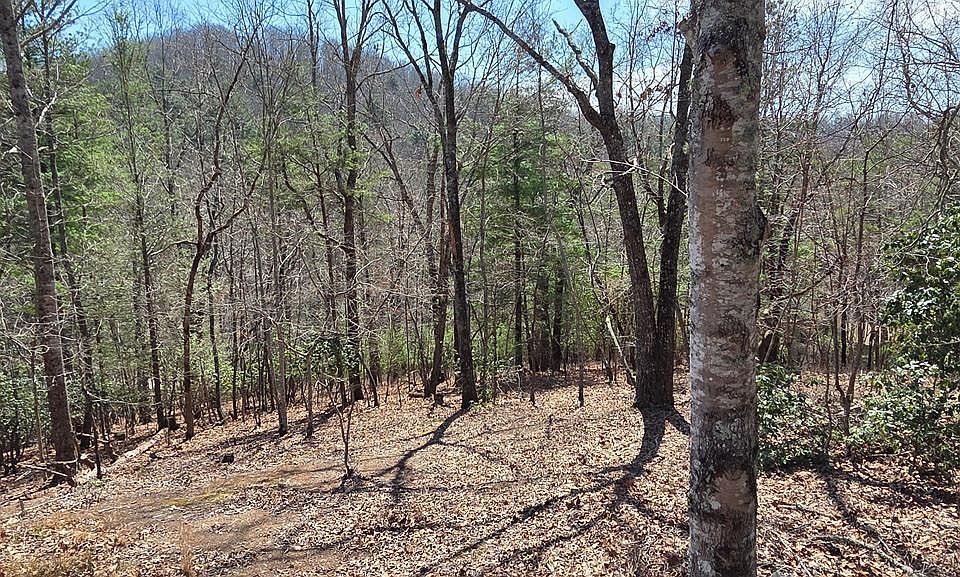 1st image of 24 Pine Log Cir