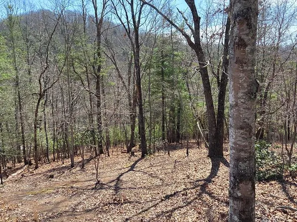 24 Pine Log Cir, Warne, NC 28909