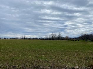 Schintzius Rd #1, Eden, NY 14057