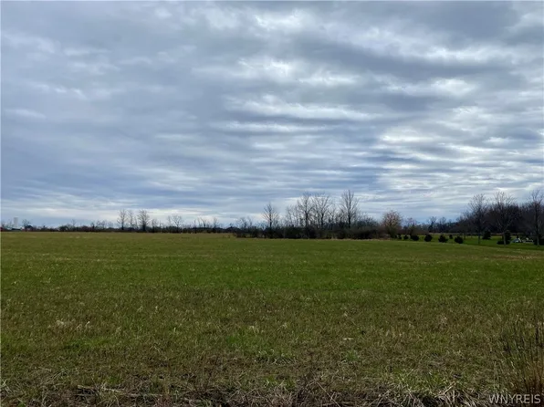 Schintzius Rd #1, Eden, NY 14057