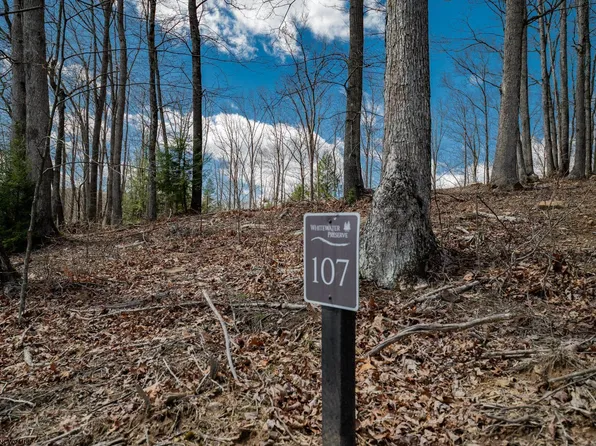 107 Whitewater Preserve Pkwy, Bruceton Mills, WV 26525